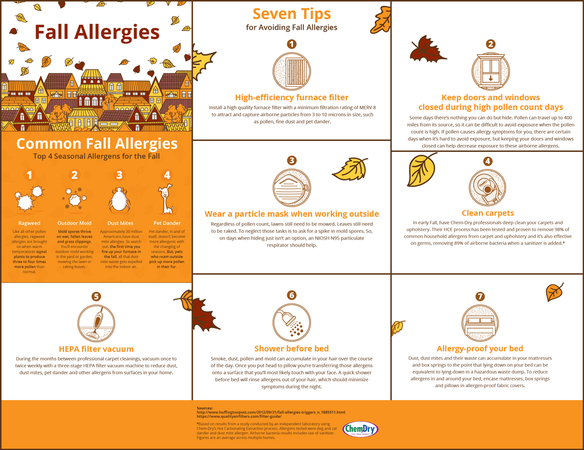 Common Fall Allergies And Seven Tips To Avoiding Them Carpet Cleaning